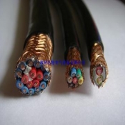 南充电缆 南充电缆